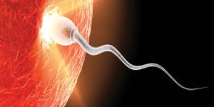 Υποβοηθούµενη αναπαραγωγή: Αναγκαιότητα η ψυχολογική υποστήριξη