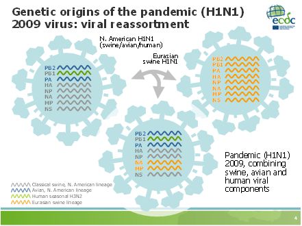Pandemic H1N1 2009 Flu Virus